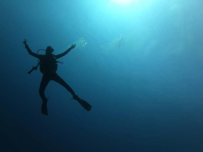 Alghero: Diving Experience - Isola Piana and Capo Caccia: why this coast is such a good classroom