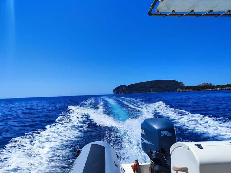 Alghero: Diving Experience - Small group size and the certification angle