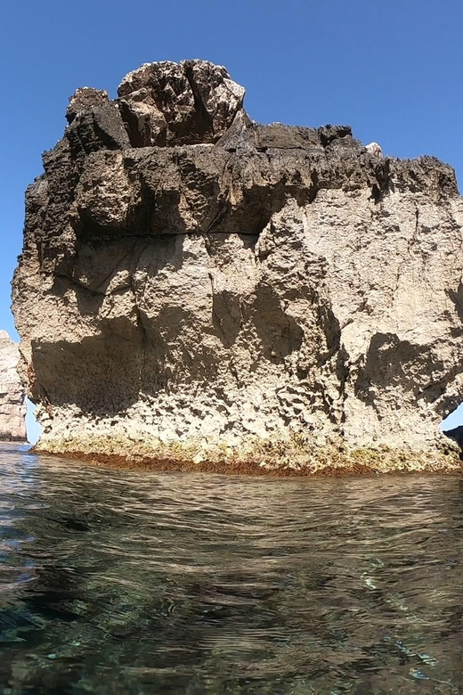 Alghero: Diving Experience - Price check: is $130.28 worth it?