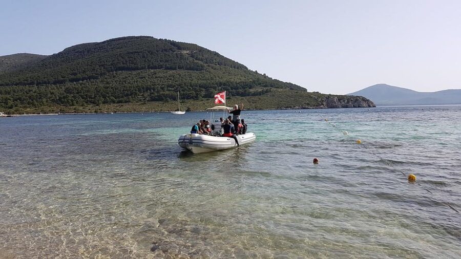 Alghero: diving for professionals at Capo Caccia - What You’ll Actually See Inside the Capo Caccia Cave World