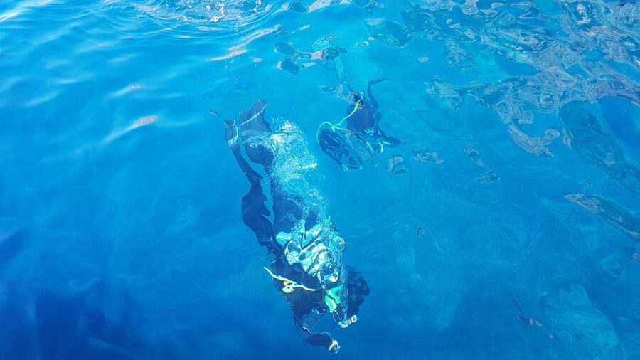 Alghero: diving for professionals at Capo Caccia - Price and Value: Is $74.20 Worth It?