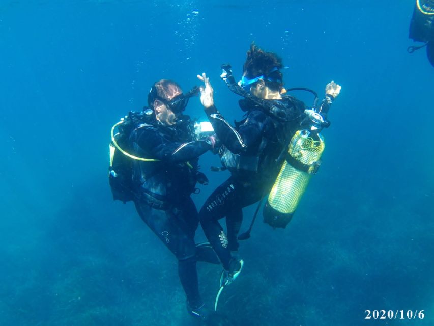 Alicante: Denia Beginners Scuba Diving Experience - Key Highlights You’ll Actually Notice