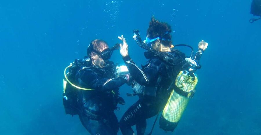 Alicante: Denia Beginners Scuba Diving Experience - The On-Land Skills Talk: Communication, Finning, Equipment