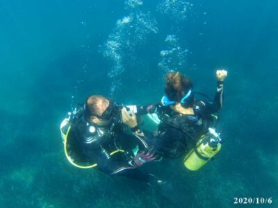 Alicante: Denia Beginners Scuba Diving Experience - Meeting Mon Diving at the Resort Center in Denia