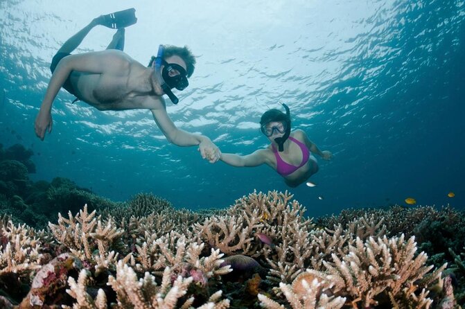 All Inclusive Bali Scuba Diving at Tulamben with Lunch -Transport - Key takeaways before you go