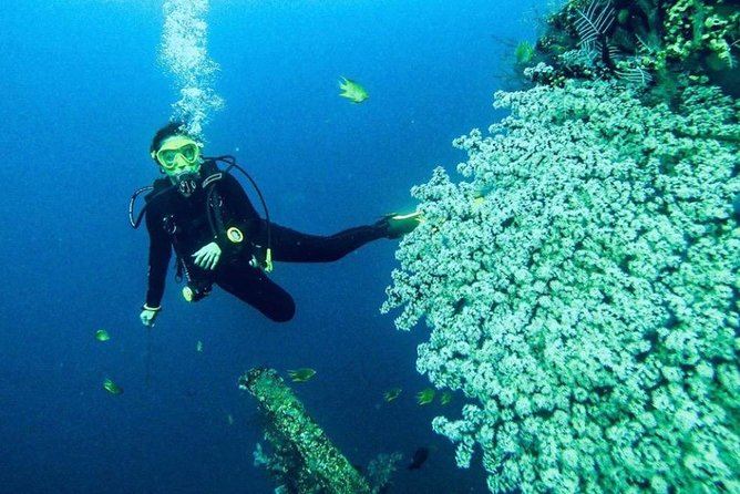 All Inclusive Bali Scuba Diving at Tulamben with Lunch -Transport - Underwater expectations: learning at your pace, not someone else’s