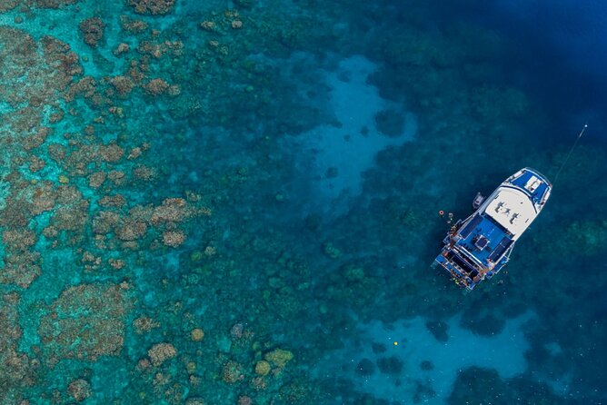 All Inclusive Great Barrier Reef Cruise w optional Scuba Diving - Getting to the Boat: Cairns Marlin Marina by 7:30am