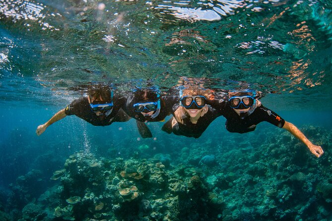 All Inclusive Great Barrier Reef Cruise w optional Scuba Diving - Marine Biologist Talk: How to See More Than Just Coral