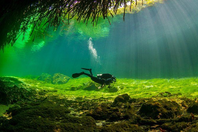 Amazing beginner dive in Tulum cenote (or refresher dive) - A first scuba session that doesn’t rush you