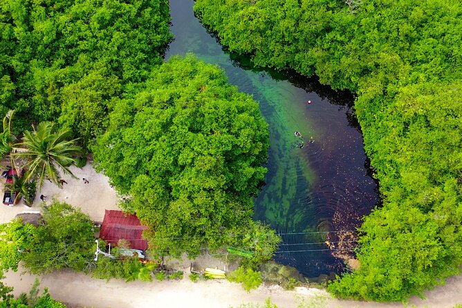 Amazing beginner dive in Tulum cenote (or refresher dive) - What you really get for $140 (and why it’s worth thinking about)