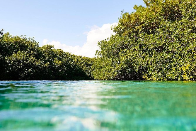 Amazing beginner dive in Tulum cenote (or refresher dive) - Who should book this Tulum cenote scuba lesson