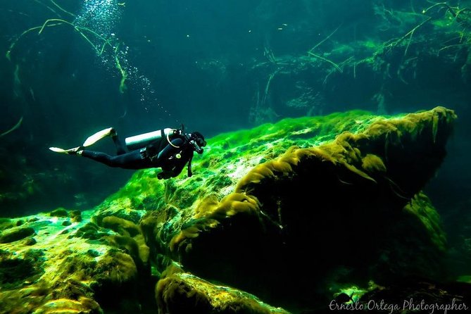 Amazing beginner dive in Tulum cenote (or refresher dive) - Practical tips to help your first underwater scuba session feel easier