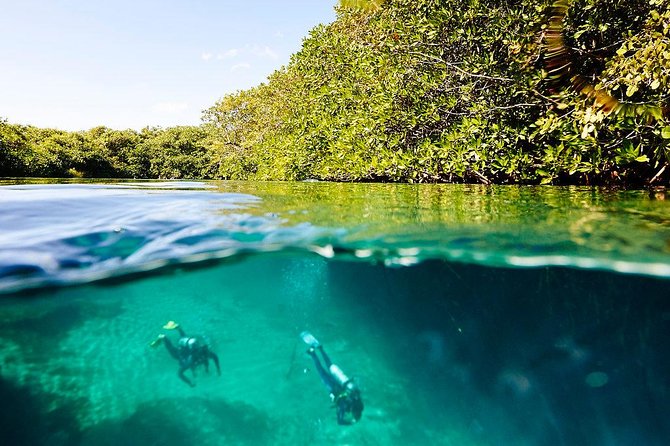Amazing beginner dive in Tulum cenote (or refresher dive) - Should you book this Casa Cenote beginner scuba session?