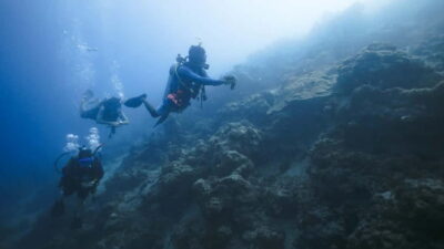 Andaman: Havelock Scuba Diving by PADI 5-Star Dive Center - Nemo Reef beachside center to the boat: logistics that can make or break your day