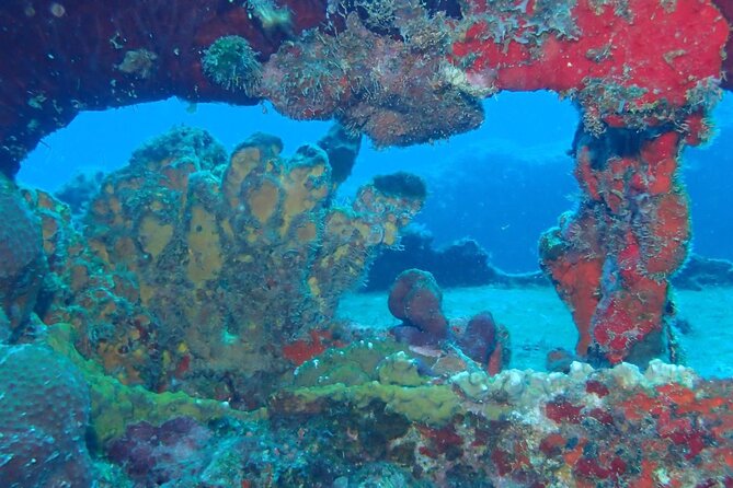 Anguilla Based: 2-Tank Group Dive Experience for Certified Divers - Meeting at Roys Bayside Grill at 9:00 am