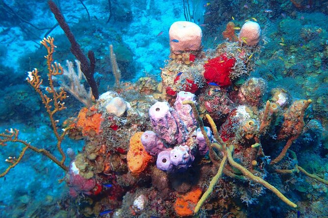 Anguilla Based: 2-Tank Group Dive Experience for Certified Divers - The boat ride: comfort, speed, and a crew that’s actually there