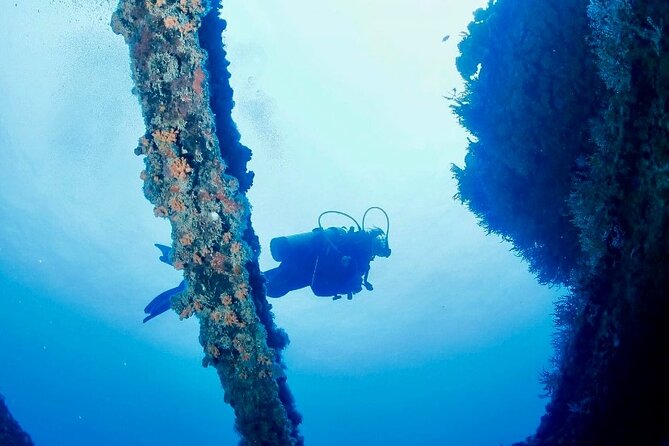Anguilla Based: 2-Tank Group Dive Experience for Certified Divers - Who should book this morning session