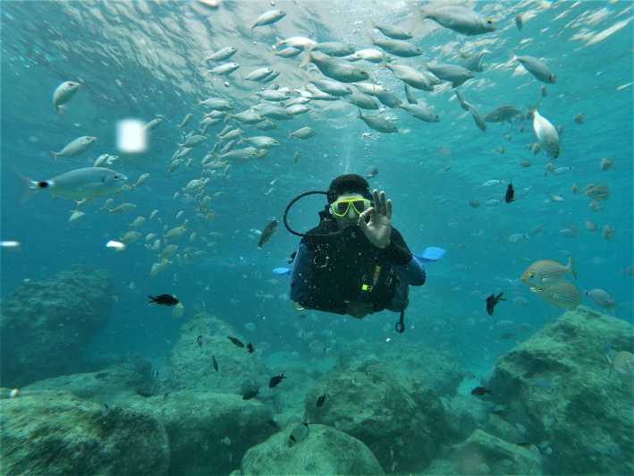 Antalya and Kemer: Full Day Scuba Diving Tour with Lunch - What I’d highlight before you book