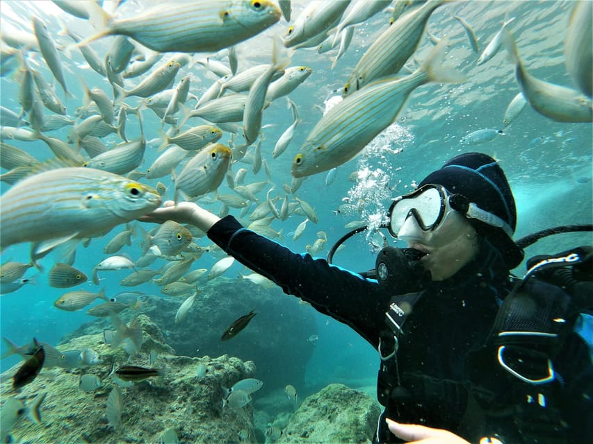 Antalya and Kemer: Full Day Scuba Diving Tour with Lunch - Safety briefing and training: what beginners should expect
