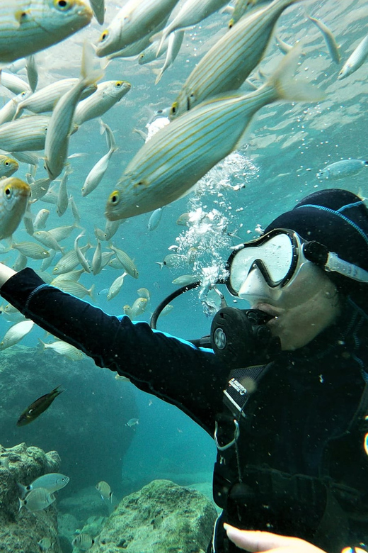 Antalya and Kemer: Full Day Scuba Diving Tour with Lunch - The return: finish with a certificate (and a clean exit)