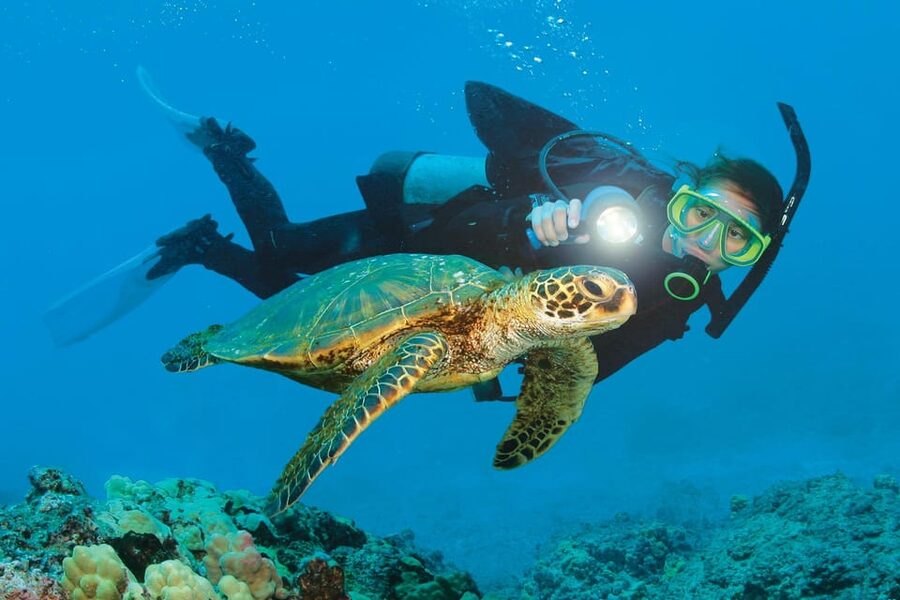 Antalya/ Belek Scuba Diving Tour With 2 Time Dive & Lunch - Second Underwater Session at 10–15 Meters After Lunch