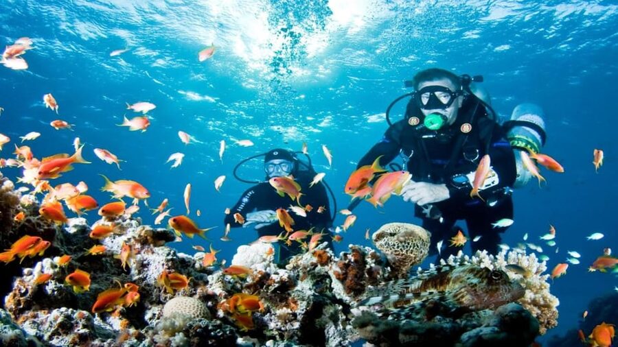 Antalya/ Belek Scuba Diving Tour With 2 Time Dive & Lunch - Comfort, Safety, and Small-Group Coaching