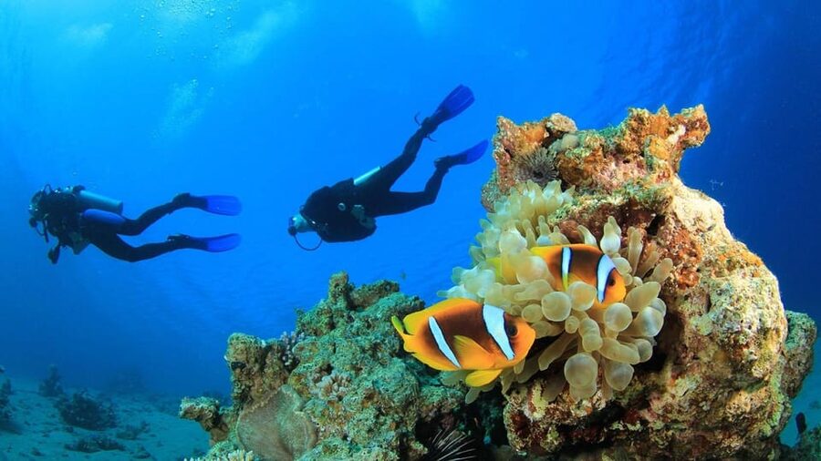 Antalya/ Belek Scuba Diving Tour With 2 Time Dive & Lunch - What’s Not Included (So You Don’t Get Surprise Costs)