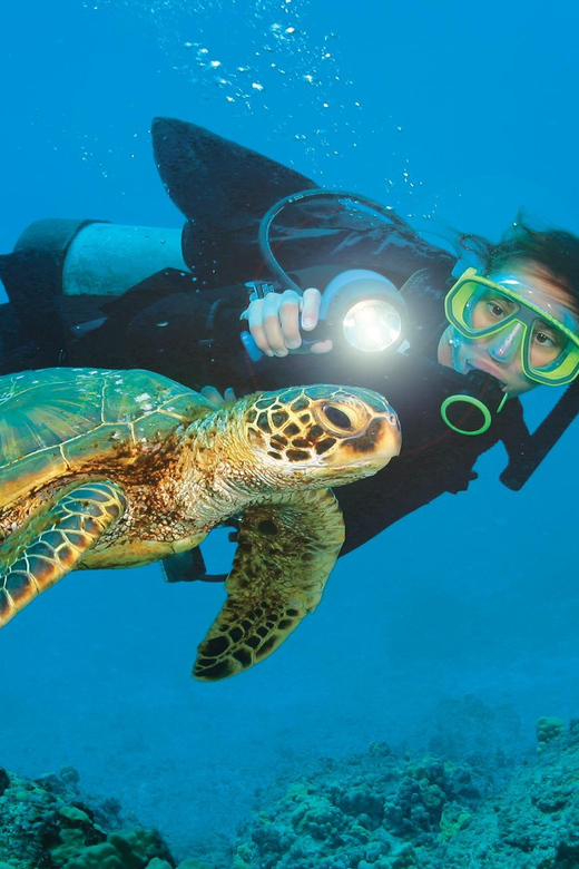Antalya/ Belek Scuba Diving Tour With 2 Time Dive & Lunch - Getting Geared Up on the Scuba Boat