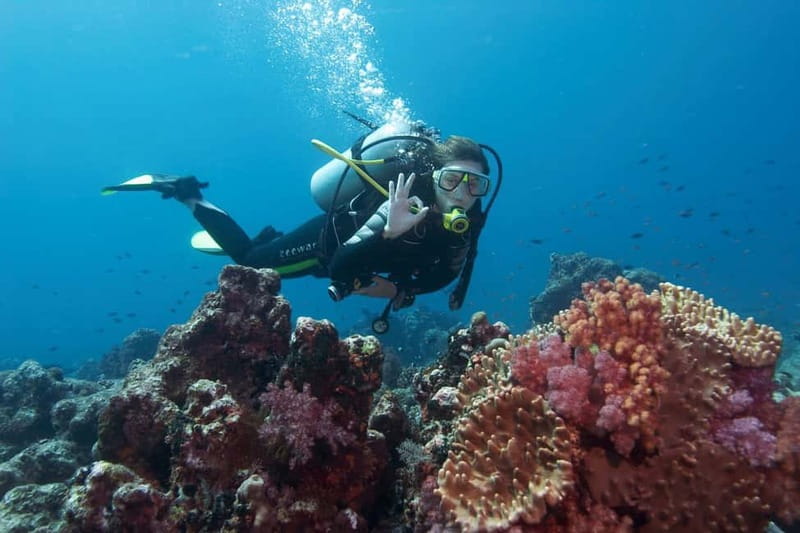 Antalya/Kemer: 2 Dives Scuba Diving Trip with Lunch - Ay Işığı Plaj: Second Session with More Time to Swim