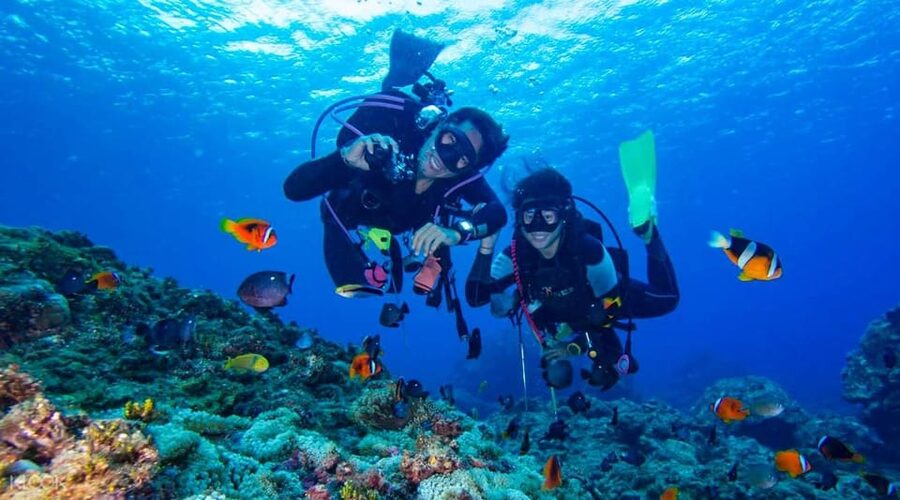 Antalya/ Kemer/ Belek Scuba Diving With Lunch & Transfer - Price and Value: What You’re Actually Paying For