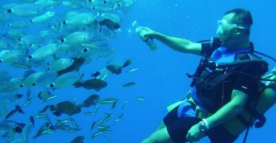 Antalya/ Kemer/ Belek Scuba Diving With Lunch & Transfer - Gear Training and Safety Briefing That Keeps You Calm