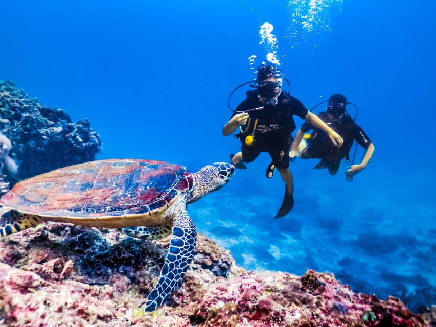 Antalya/ Kemer/ Belek Scuba Diving With Lunch & Transfer - Kemer’s Crystal-Blue Waters and Secluded Bays by Boat
