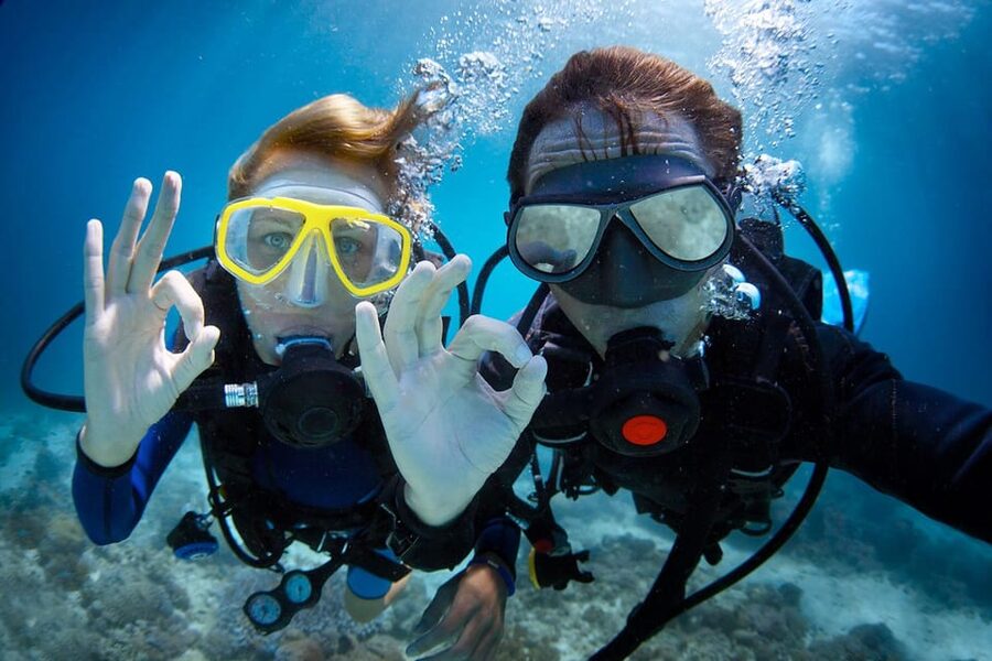 Antalya/ Kemer/ Belek Scuba Diving With Lunch & Transfer - Marine Life Chances: Fish Schools, Underwater Plants, and Caretta Turtles