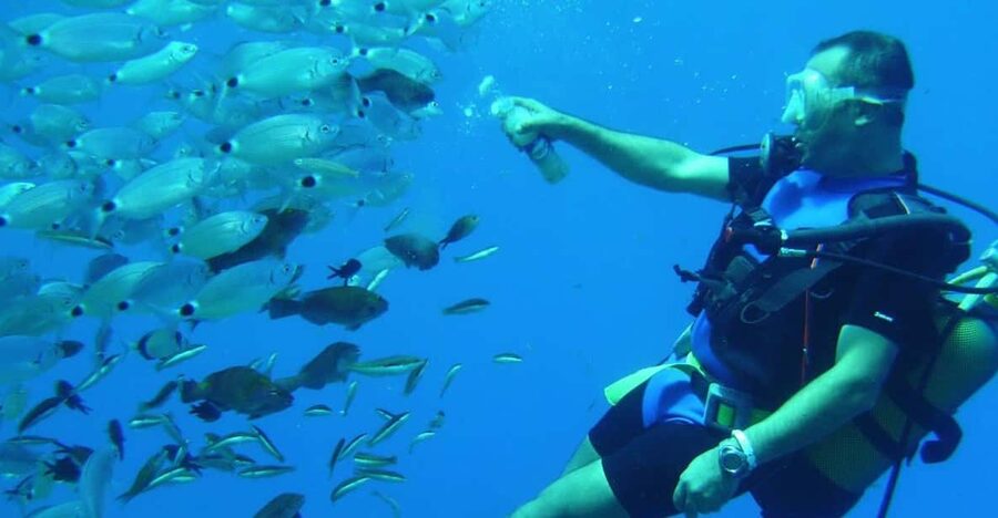 Antalya/ Kemer/ Belek Scuba Diving With Lunch & Transfer - Gear Training and Safety Briefing That Keeps You Calm