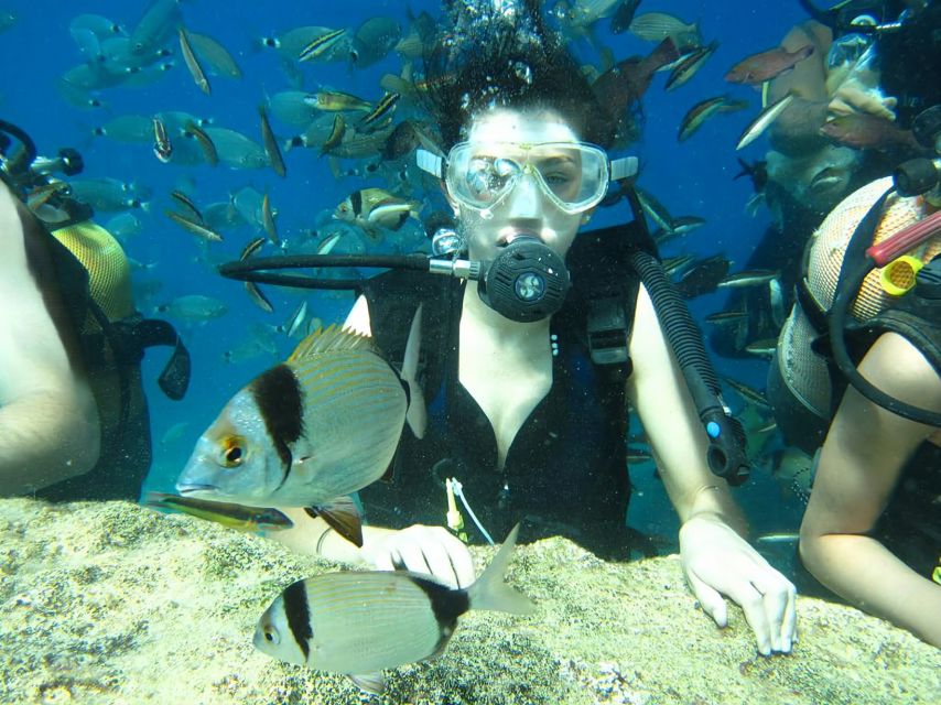 Antalya/Kemer: Scuba Diving Experience with Lunch & Pick up - Key things that make this day work