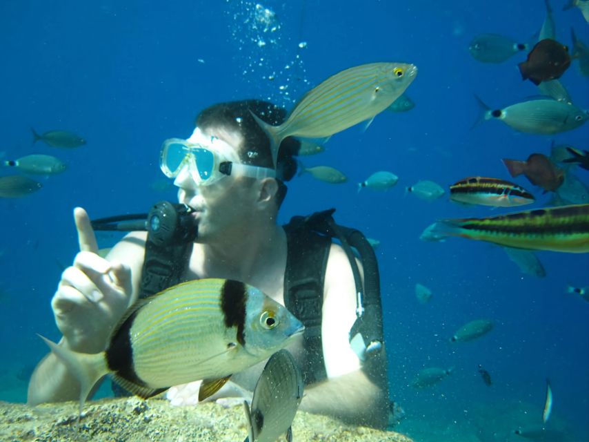 Antalya/Kemer: Scuba Diving Experience with Lunch & Pick up - What about safety and instructor quality in real life?