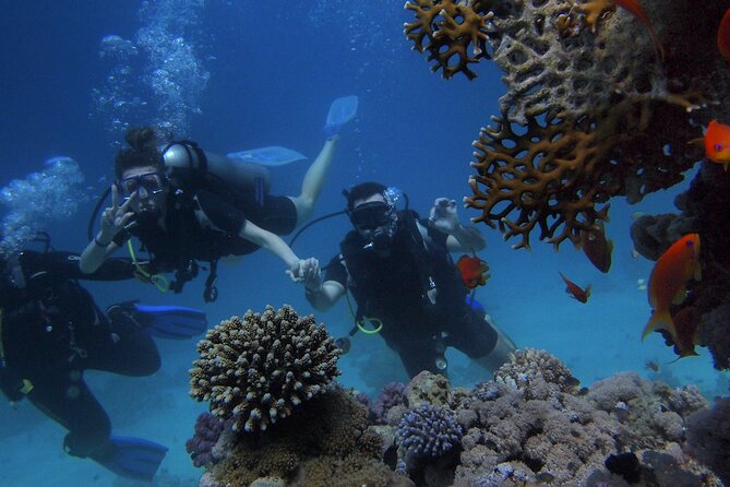 Antalya/Kemer: Scuba Diving with Pickup, Lunch, and 2 Dives - Key Things I’d Prioritize on This Tour