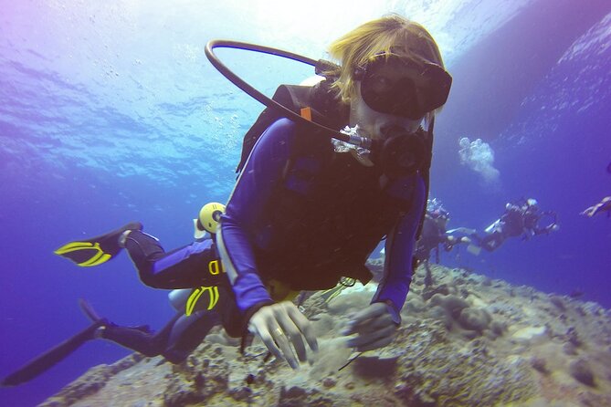 Antalya/Kemer: Scuba Diving with Pickup, Lunch, and 2 Dives - What You’ll See: Reefs, Fish, and a Shipwreck
