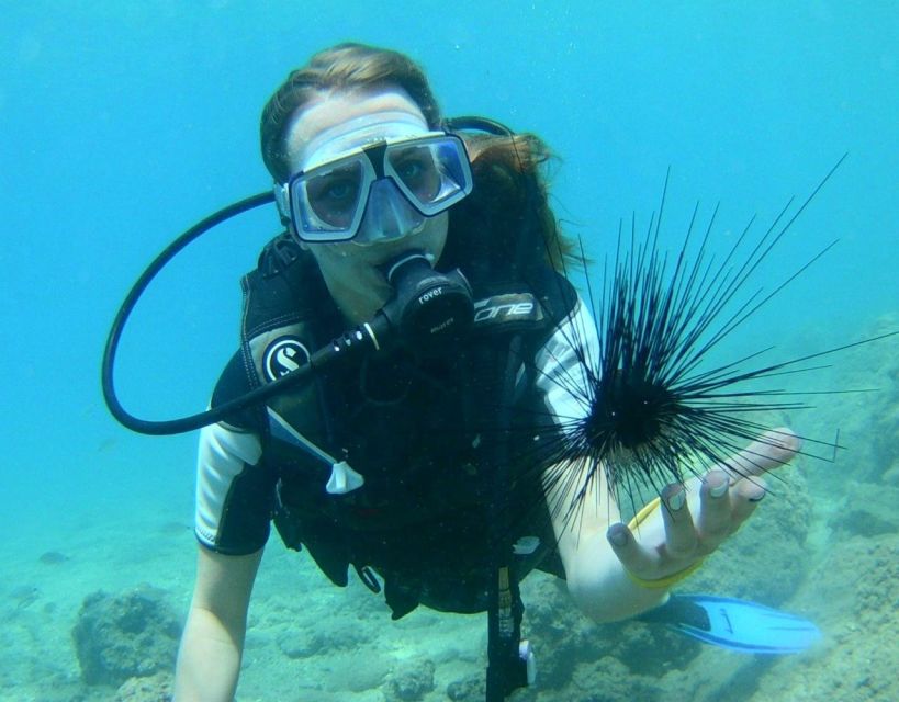 Antalya/Kemer: Scuba Diving with Pickup, Lunch, and 2 Dives - Lunch on Deck: Included, Simple, and Convenient