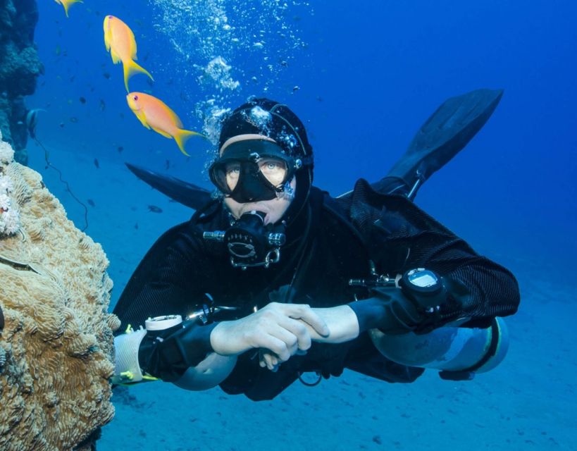 Antalya/Kemer: Scuba Diving with Pickup, Lunch, and 2 Dives - Transport: Mostly Smooth, but Watch for Comfort Issues