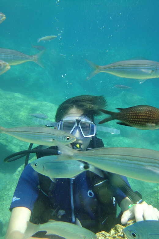 Antalya Scuba Diving Tour, With Lunch & Return Transfers - Who This Tour Best Fits (And Who Should Skip It)