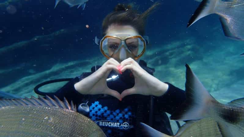 Antalya Scuba Diving Tour, With Lunch & Return Transfers - Getting Picked Up to Setur Marina: A Smooth Start (Most Days)