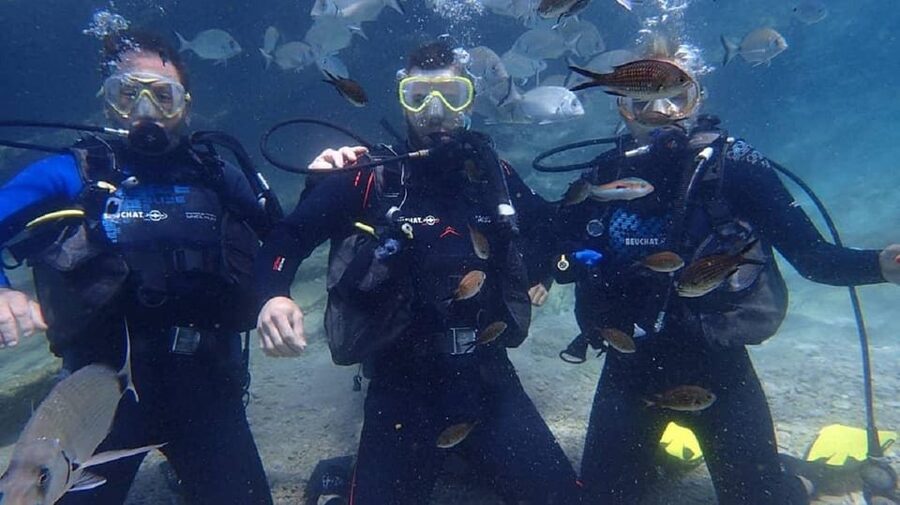 Antalya Scuba Diving Tour, With Lunch & Return Transfers - Martı Island Second Session: Another Spot, Another View