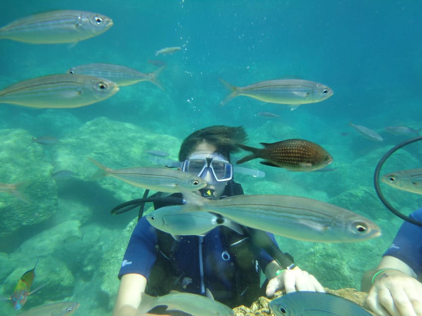 Antalya Scuba Diving Tour, With Lunch & Return Transfers - Price and Value: Is $38 a Fair Deal?