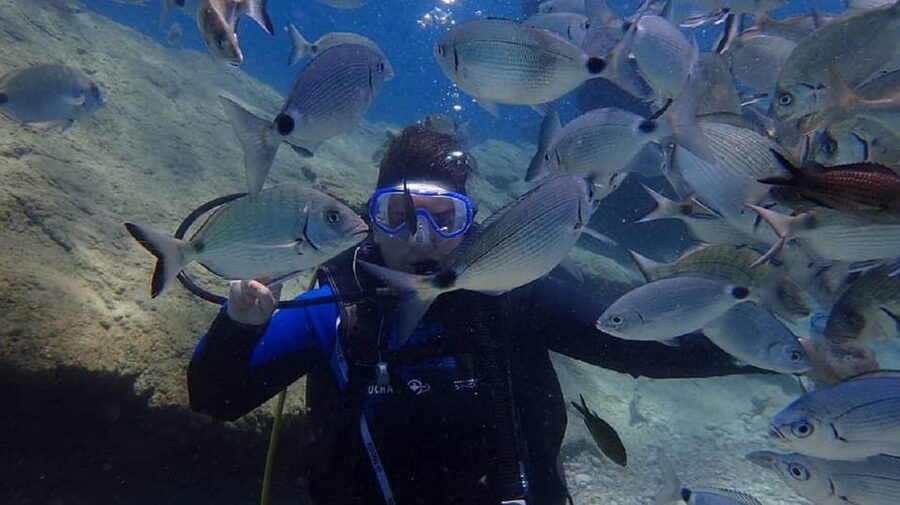 Antalya Scuba Diving Tour, With Lunch & Return Transfers - Transfers, Weather, and the One Thing You Should Expect to Vary