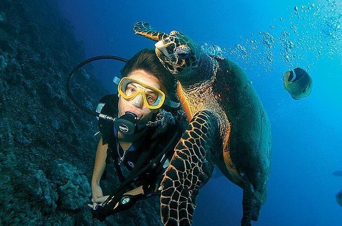 Antalya Scuba Diving W/Lunch & Transfers - On the Boat: Safety Briefing and Scuba Equipment Setup