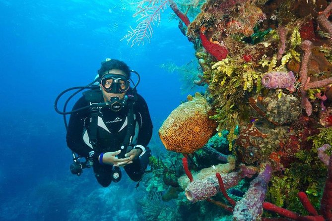 Antalya Scuba Diving W/Lunch & Transfers - Two Underwater Sessions: Why the First Feels Different Than the Second
