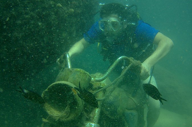 Antalya Scuba Diving W/Lunch & Transfers - Marine Life, Coral Reefs, and Caves: What You’ll Likely See