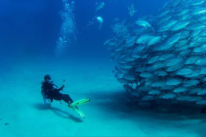 Antalya Scuba Diving W/Lunch & Transfers - The Guide and Group Size: What Up to 30 People Changes
