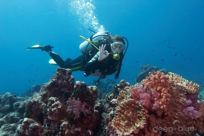 Antalya Scuba Diving W/Lunch & Transfers - Getting to Setur Harbour: The Part That Makes the Day Easier